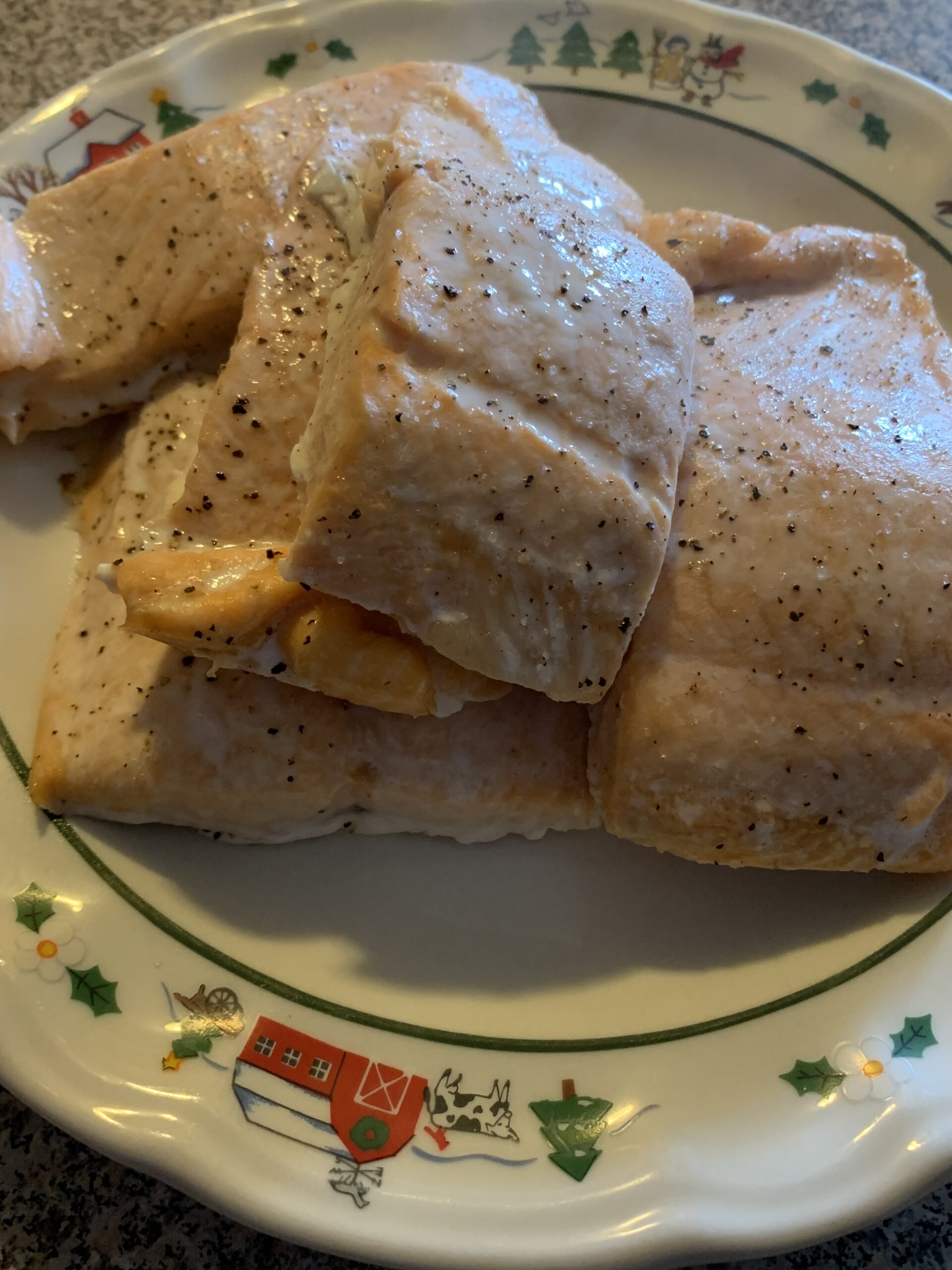 Salmon pieces on a plate